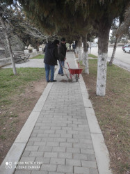 “Şəhərsalma və Memarlıq İli” çərçivəsində növbəti iməcilik keçirilib