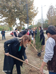 Xocavənd Rayon İcra Hakimiyyətinin təşkilatçılığı ilə 500 ailəlik Xocavənd qəsəbəsində “Yaşıl dünya naminə həmrəylik ili” çərçivəsində növbəti ağacəkmə aksiyası keçirildi