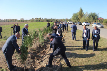 "Yaşıl dünya naminə həmrəylik ili" çərçivəsində Xocavənd qəsəbəsində növbəti ağacəkmə aksiyası keçirilmişdir.