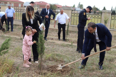 Şəhidlərin xatirəsinə həsr olunmuş ağacəkmə aksiyası təşkil edilib