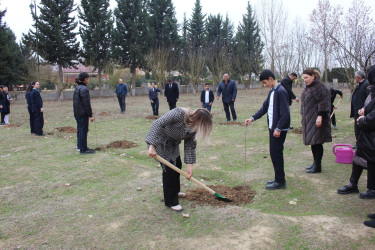 11 dekabr 2024-cü il tarixdə "Yaşıl dünya naminə həmrəylik ili" çərçivəsində Salakətin kənd tam orta məktəbində ağacəkmə aksiyası keçirilmişdir.