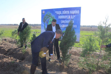 "Yaşıl dünya naminə həmrəylik ili" çərçivəsində Xocavənd qəsəbəsində növbəti ağacəkmə aksiyası keçirilmişdir.