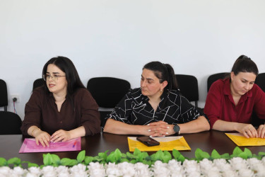 Bölgələrdə gender problemlərinin təhlili” mövzusunda dəyirmi masa keçirilib