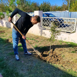 "Yaşıl dünya naminə həmrəylik ili" ilə əlaqədar "Təbiəti də sağaldaq" devizi altında ağacəkmə aksiyası baş tutub.