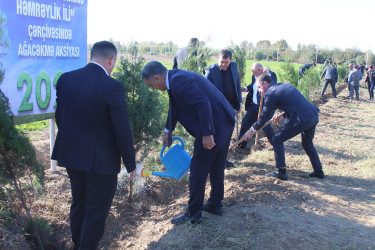 "Yaşıl dünya naminə həmrəylik ili" çərçivəsində Xocavənd qəsəbəsində növbəti ağacəkmə aksiyası keçirilmişdir.