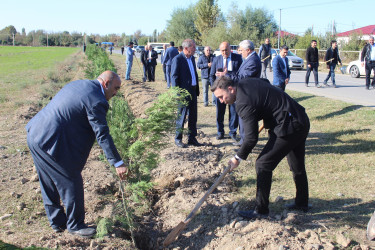 "Yaşıl dünya naminə həmrəylik ili" çərçivəsində Xocavənd qəsəbəsində növbəti ağacəkmə aksiyası keçirilmişdir.