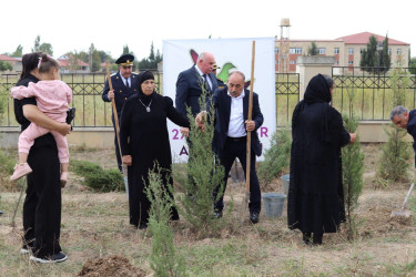 Şəhidlərin xatirəsinə həsr olunmuş ağacəkmə aksiyası təşkil edilib