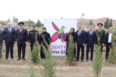 Şəhidlərin xatirəsinə həsr olunmuş ağacəkmə aksiyası təşkil edilib