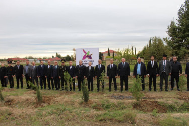 27 sentyabr -Anım Gününün beşinci ildönümü münasibətilə eyni zamanda təmiz və yaşıl mühit naminə abadlıq və ekoloji tədbirlərlə bağlı ağacəkmə aksiyası keçirilib.