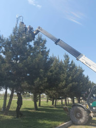 "Memarlıq və Şəhərsalma ili" çərçivəsində abadlıq işləri davam etdirilir