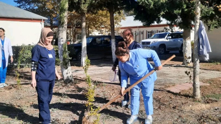 "Yaşıl dünya naminə həmrəylik ili" ilə əlaqədar "Təbiəti də sağaldaq" devizi altında ağacəkmə aksiyası baş tutub.