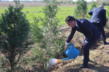 "Yaşıl dünya naminə həmrəylik ili" çərçivəsində Xocavənd qəsəbəsində növbəti ağacəkmə aksiyası keçirilmişdir.