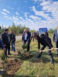 “Yaşıl Dünya naminə həmrəylik ili” çərçivəsində Xocavənd qəsəbəsində ağacəkmə aksiyaları davam edir.