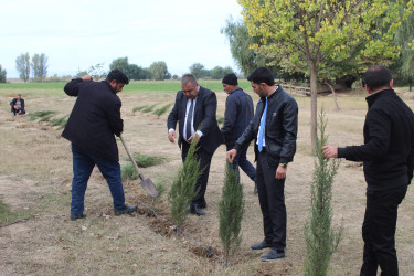 Xocavənd Rayon İcra Hakimiyyətinin təşkilatçılığı ilə 500 ailəlik Xocavənd qəsəbəsində “Yaşıl dünya naminə həmrəylik ili” çərçivəsində növbəti ağacəkmə aksiyası keçirildi