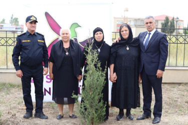 Şəhidlərin xatirəsinə həsr olunmuş ağacəkmə aksiyası təşkil edilib