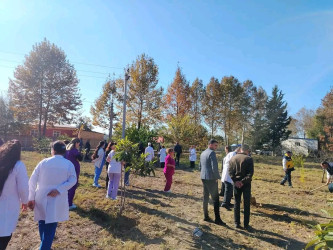 "Yaşıl dünya naminə həmrəylik ili" ilə əlaqədar "Təbiəti də sağaldaq" devizi altında ağacəkmə aksiyası baş tutub.