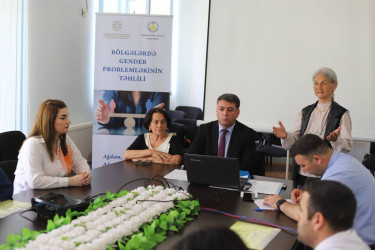 Bölgələrdə gender problemlərinin təhlili” mövzusunda dəyirmi masa keçirilib