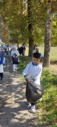 COP29-la bağlı növbəti tədbir keçirilmişdir.