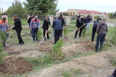 27 sentyabr -Anım Gününün beşinci ildönümü münasibətilə eyni zamanda təmiz və yaşıl mühit naminə abadlıq və ekoloji tədbirlərlə bağlı ağacəkmə aksiyası keçirilib.