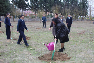 11 dekabr 2024-cü il tarixdə "Yaşıl dünya naminə həmrəylik ili" çərçivəsində Salakətin kənd tam orta məktəbində ağacəkmə aksiyası keçirilmişdir.