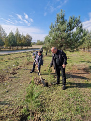 “Yaşıl Dünya naminə həmrəylik ili” çərçivəsində Xocavənd qəsəbəsində ağacəkmə aksiyaları davam edir.