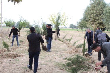 Xocavənd Rayon İcra Hakimiyyətinin təşkilatçılığı ilə 500 ailəlik Xocavənd qəsəbəsində “Yaşıl dünya naminə həmrəylik ili” çərçivəsində növbəti ağacəkmə aksiyası keçirildi