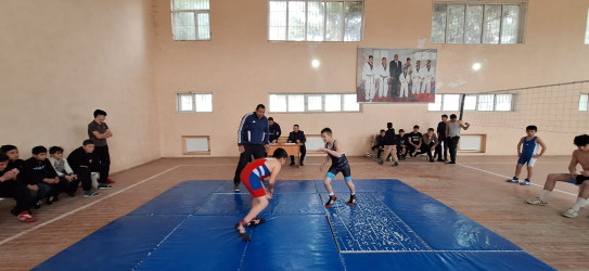 Bədən Tərbiyəsi və İdman Gününə həsr olunmuş güləş yarışı keçirilib