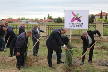 27 sentyabr -Anım Gününün beşinci ildönümü münasibətilə eyni zamanda təmiz və yaşıl mühit naminə abadlıq və ekoloji tədbirlərlə bağlı ağacəkmə aksiyası keçirilib.
