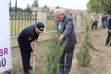 Şəhidlərin xatirəsinə həsr olunmuş ağacəkmə aksiyası təşkil edilib