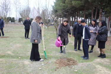 11 dekabr 2024-cü il tarixdə "Yaşıl dünya naminə həmrəylik ili" çərçivəsində Salakətin kənd tam orta məktəbində ağacəkmə aksiyası keçirilmişdir.