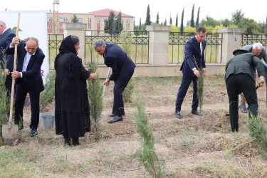 Şəhidlərin xatirəsinə həsr olunmuş ağacəkmə aksiyası təşkil edilib