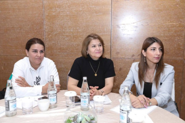 “Ailə və gender yönümlü siyasətlər: fərdlərə, təşkilatlara və cəmiyyətə faydaları” mövzusunda təlim
