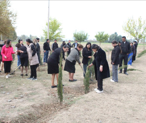 Xocavənd Rayon İcra Hakimiyyətinin təşkilatçılığı ilə 500 ailəlik Xocavənd qəsəbəsində “Yaşıl dünya naminə həmrəylik ili” çərçivəsində növbəti ağacəkmə aksiyası keçirildi