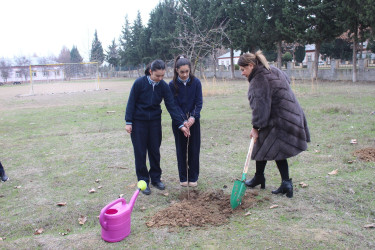 11 dekabr 2024-cü il tarixdə "Yaşıl dünya naminə həmrəylik ili" çərçivəsində Salakətin kənd tam orta məktəbində ağacəkmə aksiyası keçirilmişdir.