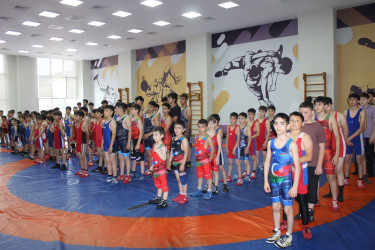 "Konstitusiya və Suverenlik İli” çərçivəsində Sərbəst güləş üzrə Xocavənd rayon açıq birinciliyi keçirilib